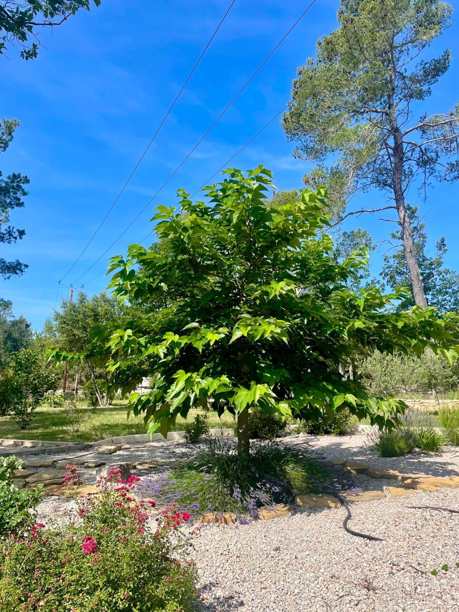 Superbe Villa Seillans La Grande Bastide Avec Piscine, Jardin, Climatisation Et Salle De Sport Exterior photo