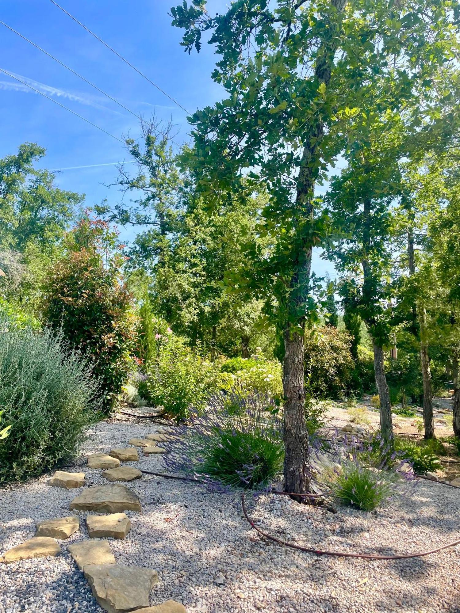 Superbe Villa Seillans La Grande Bastide Avec Piscine, Jardin, Climatisation Et Salle De Sport Exterior photo